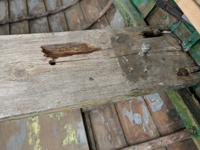 PXL_20250829_090518516