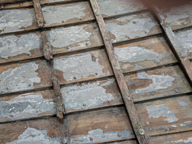 PXL_20250829_090559121